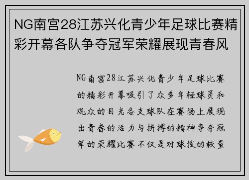 NG南宫28江苏兴化青少年足球比赛精彩开幕各队争夺冠军荣耀展现青春风采